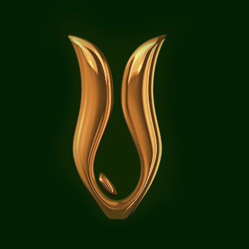 Olivello | Lebanon's Premium Olive Oil